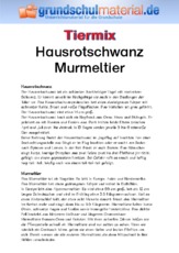 Hausrotschwanz - Murmeltier.pdf